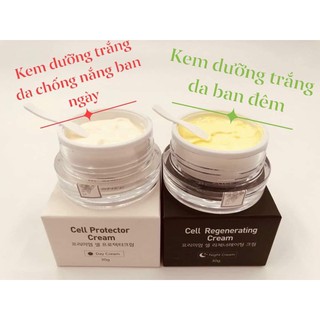 Combo Kem ngày Dr Shee