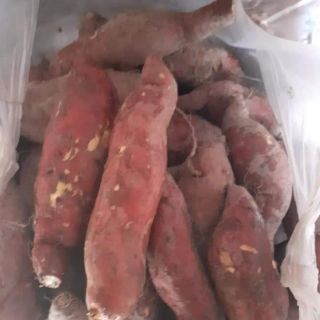 4kg khoai lang Mật Tà Nung- Đà Lạt củ vừa,ngon