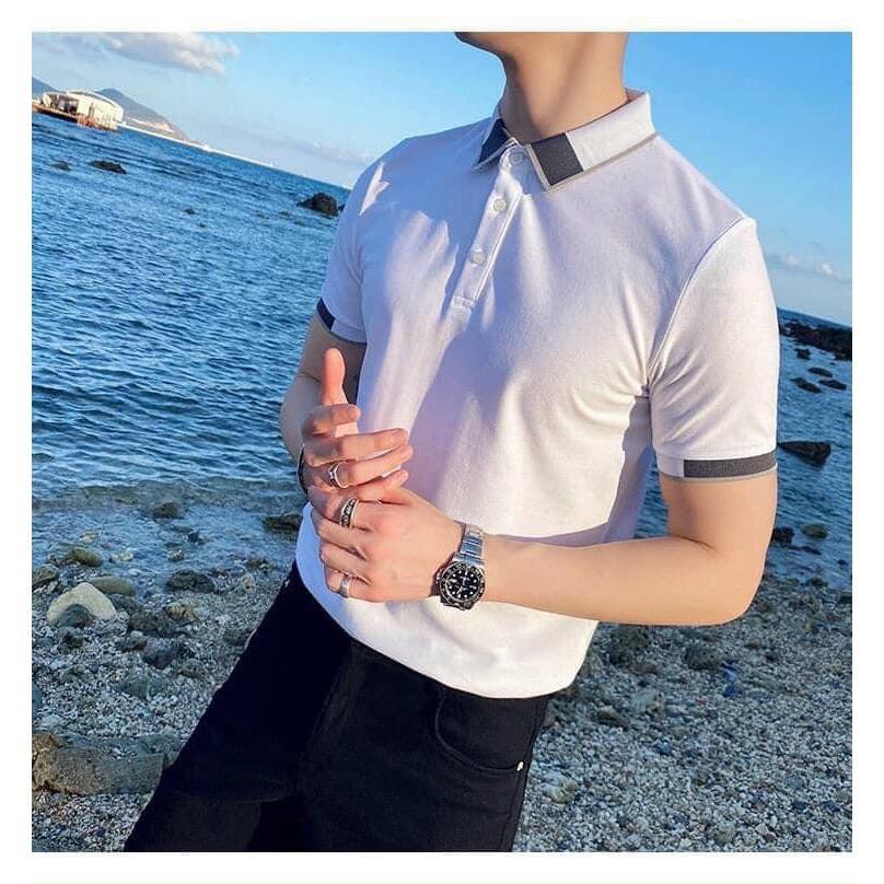 Áo polo nam GẤU Áo polo nam đẹp Chất liệu cotton mềm mịn, dầy dặn, hoạt động thoải mái, thấm hút mồ hôi tốt | BigBuy360 - bigbuy360.vn