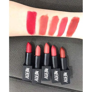 SON LÌ MERZY LIPSTICK