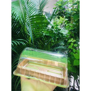 Hộp Pet A012 (set 10  hộp)