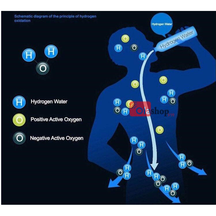 Bình nước Hydrogen nước ion kiềm
