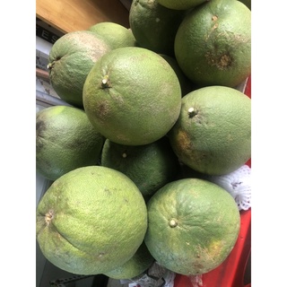 5 trái Bửoi da xanh Bến Tre ruột đỏ size mỗi trái 1,2kg -1.4kg ( giao siêu tốc Tphcm )
