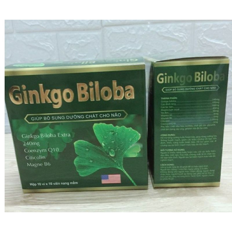 Ginkgo biloba 240mg hộp 100v