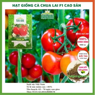 Hạt giống cà chua siêu quả lai F1 - rau củ quả trồng chậu, sân vườn ban công 0,3gr RADO 29