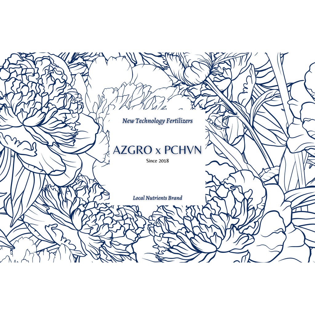 Dinh dưỡng cho cà chua AZGRO