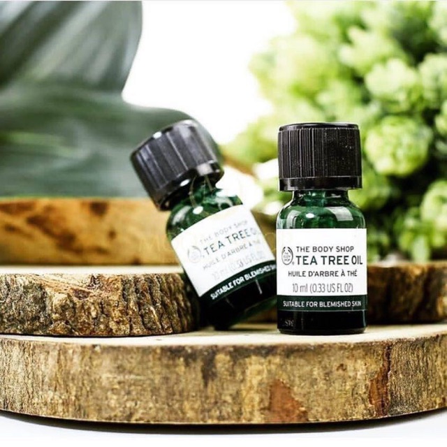 Tinh dầu tràm trà tee tree oil