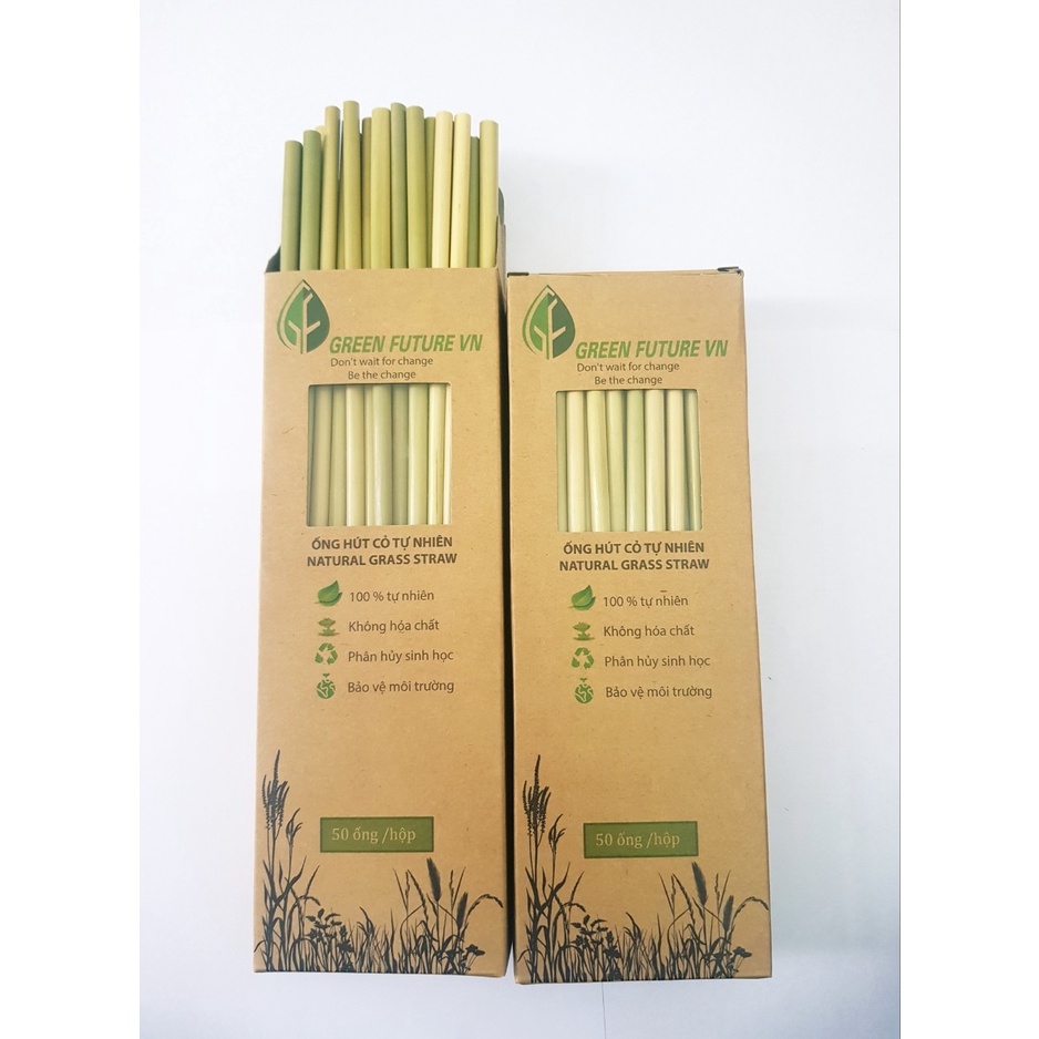 COMBO 5 HỘP ỐNG HÚT CỎ BÀNG- CÔNG TY GREEN FUTURE VN SẢN XUẤT