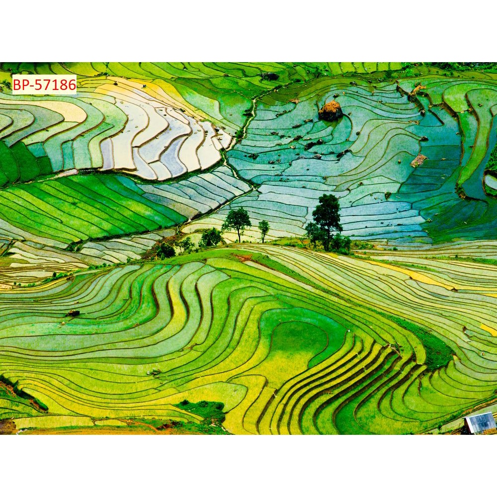 Tranh dán tường tổng hợp địa danh Việt Nam 3D in theo kích thước yêu cầu – Không giới hạn kích thước.