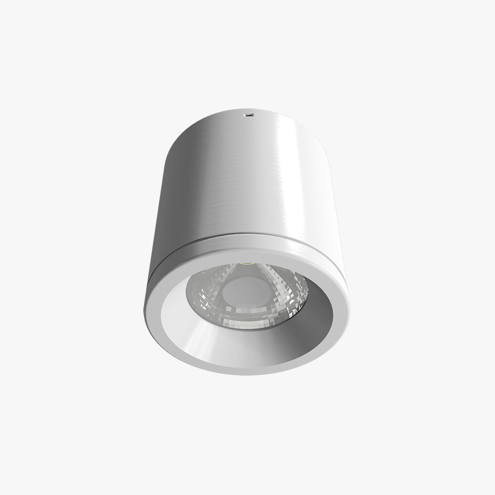 Đèn downlight nổi trần NT01