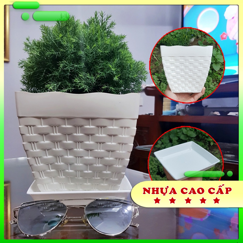 Chậu nhựa trắng cao cấp - chậu loại dày - chậu nhựa với họa tiết mây đan