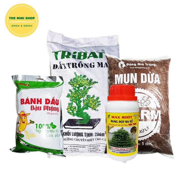 Phân bón phục hồi cây mai, trồng mới (Đất trồng mai tribat, bánh dầu đậu phộng, bung đọt ra rễ max root, mụn dừa sfarm)