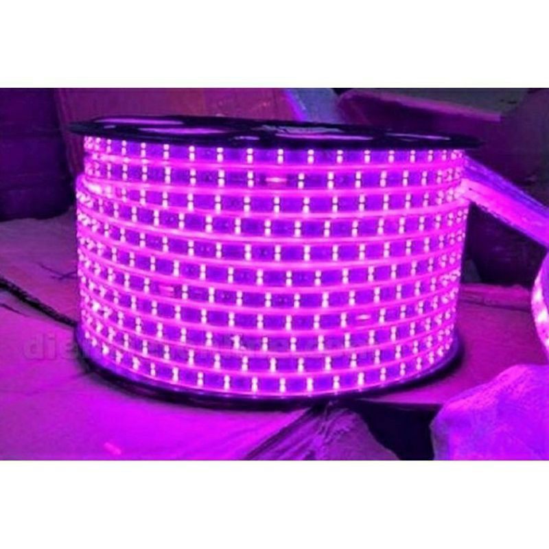 Led cuộn 2835 100m 2 đường bóng ngang
