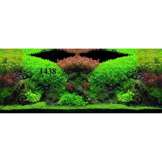 Tranh dán bể cá 3D