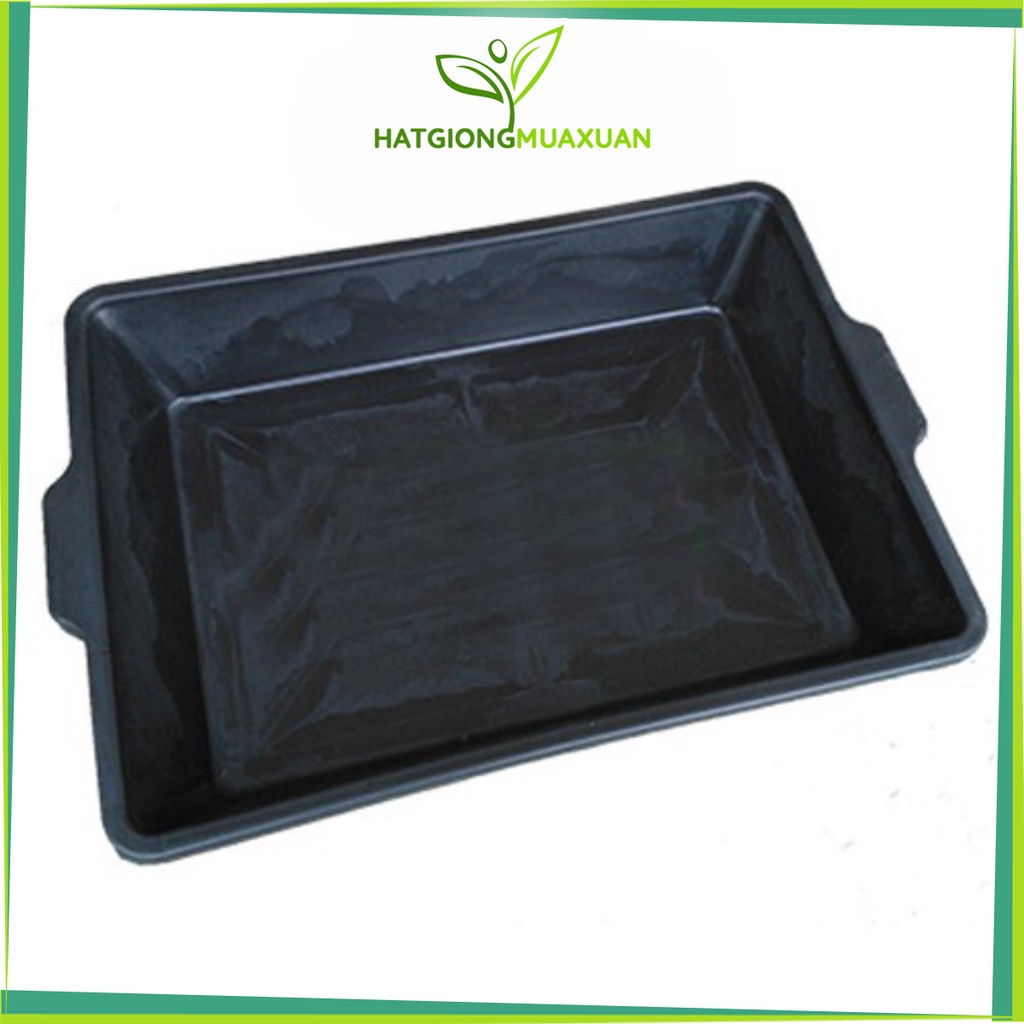 combo 10 máng trồng rau sạch, rau mầm, (khay trồng rau sạch rau mầm) màu xanh/đen