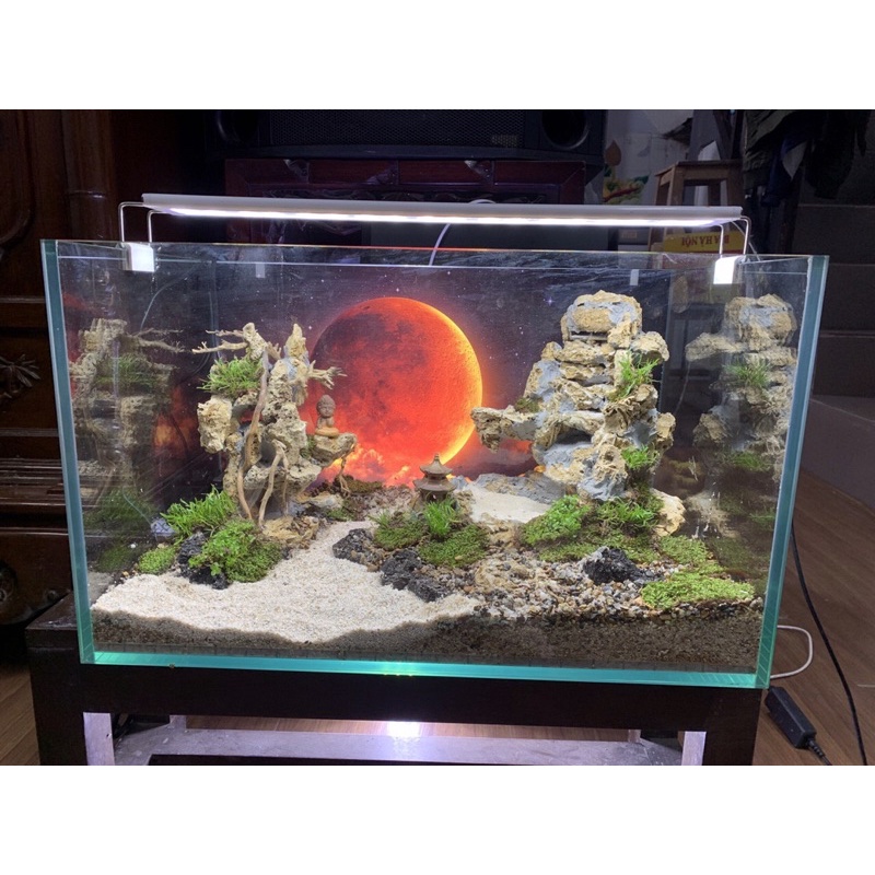 Tranh 3D hồ cá thuỷ sinh, bán cạn - chủ đề Ánh trăng part 3