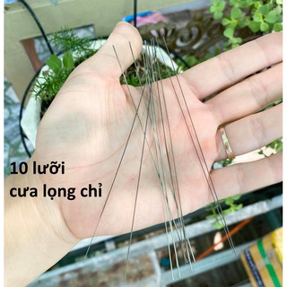 10 lưỡi cưa lọng chỉ hàng tồn kho Đức