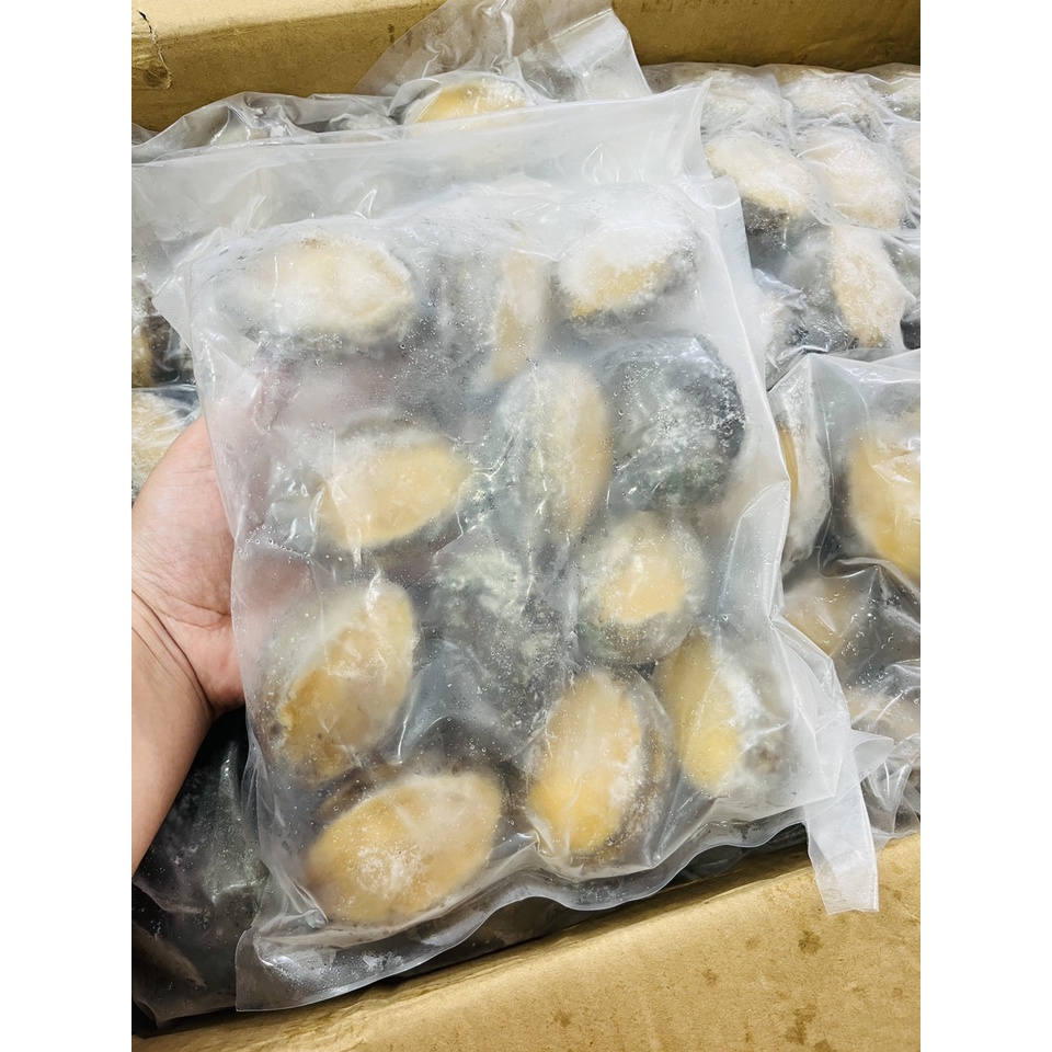 Giá sỉ Bào Ngư thùng xanh size 12/con 1Kg