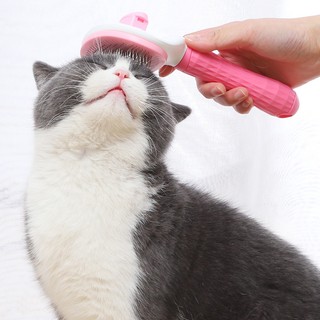 Lược chải lông chó mèo size lớn.