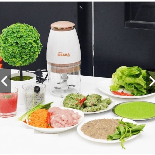 Máy Xay Sinh Tố Osaka, Xay Cá Thịt, Cực Khoẻ, Xay Được Cả Đá_-Gia Dụng Gia Đình