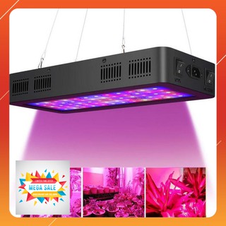 Đèn Led trồng cây giúp cây phát triển tốt hơn công suất cao 600W