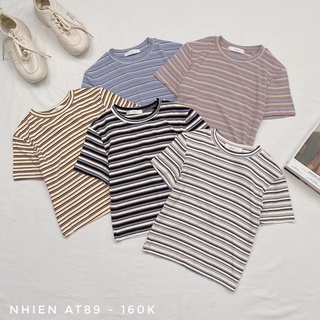 Áo Thun nữ cổ tròn sọc ngang nhienhienvintage BT81