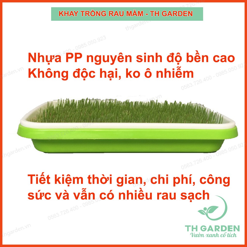 Khay Trồng Rau Mầm Thủy Canh Th Garden - Khay Nhựa Trồng Rau Sạch Thông Minh - Nhựa Pp Nguyên Sinh An Toàn Không Độc Hại