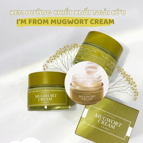 Kem Dưỡng Ngải Cứu I'm From Mugwort Cream 50g