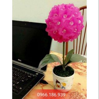 Combo nguyên liệu làm cẩm tú cầu