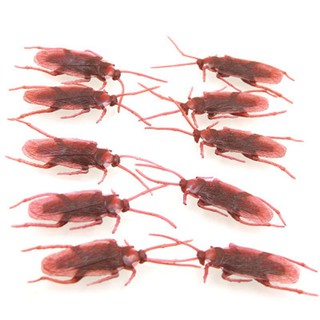 Mô hình gián giả đồ chơi hù dọa độc đáo