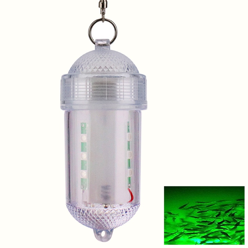 QQ Đèn LED 12 Bóng Siêu Bền Chống Thấm Nước Để Câu Cá Vào Ban Đêm