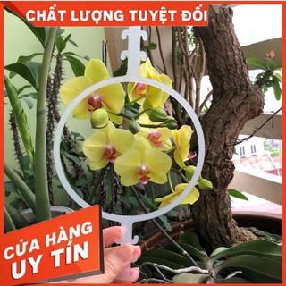 Tai giả hỗ trợ đeo khẩu trang//set 5 chiếc//SLL liên hệ