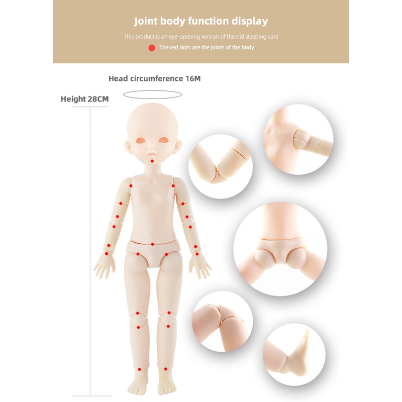 Mô Hình Cơ Thể Búp Bê BJD 28cm 22 Khớp Xoay Chuyển Động