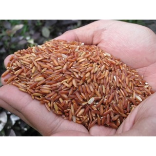 GẠO LỨT ĐỎ 1KG