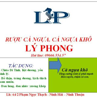 Cá Ngựa Phan Rang ( size 12cm/ 75k)