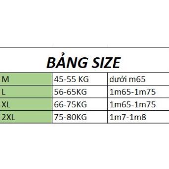 Áo thun, ÁO phông nam in 3D hình HỔ thun dãn 4 chiều siêu đẹp - KO Fashion