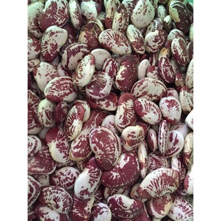 500gr đậu ngự nấu chè, đậu quê loại 1 bở ngon, sẵn sll sỉ 4x 5x 6x