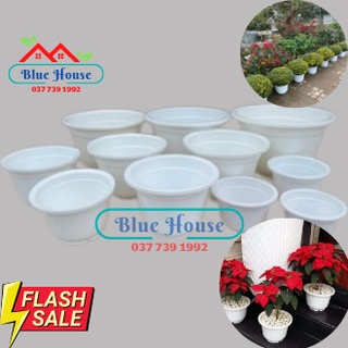 Chậu nhựa trắng trồng cây a250 - a460