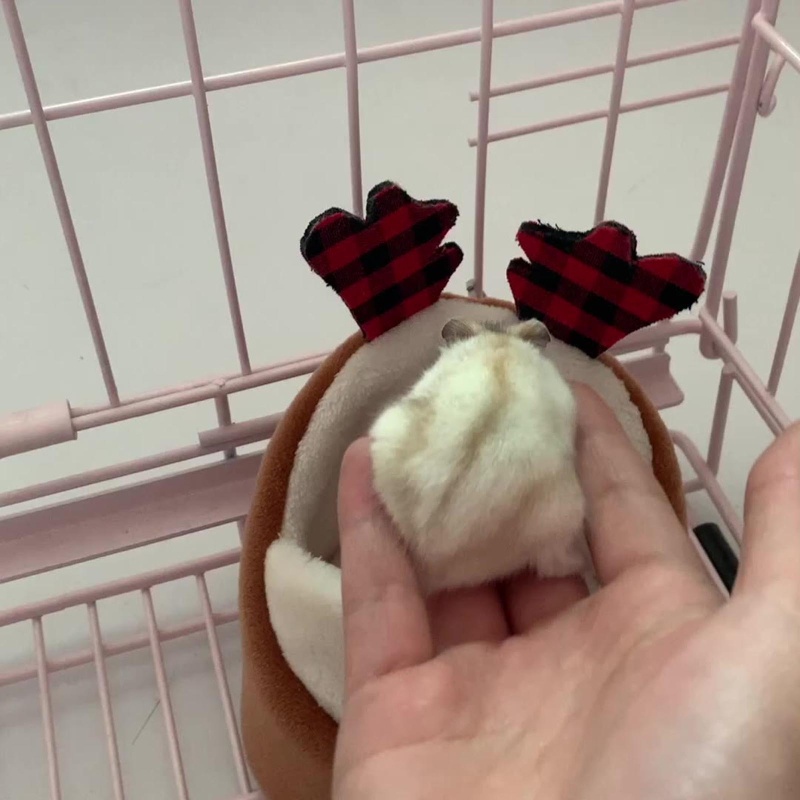 Giường Ngủ Ấm Áp Mùa Đông Dễ Thương Cho Thú Cưng Nhím / Sóc / Chuột Hamster