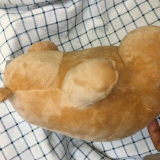 Gấu Ngồi Huggies