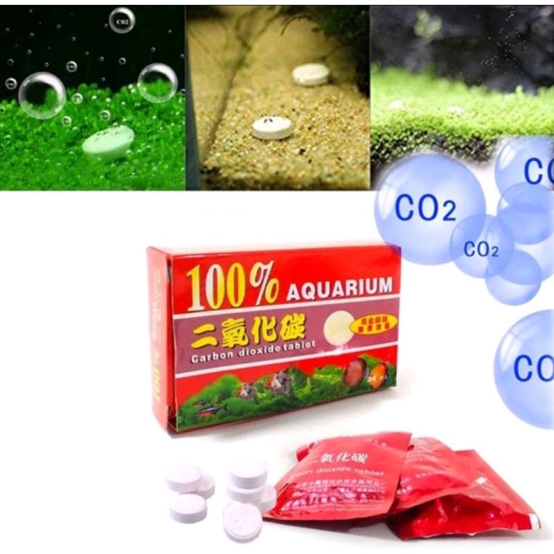 Viên nén co2 cho hồ thủy sinh, viên co2 thủy sinh