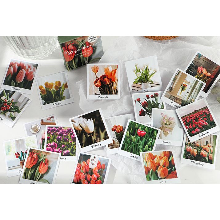 Bộ 40 Sticker Hisome E105
