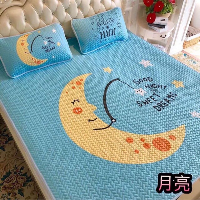 Chiếu điều hoà Tencel-trangmint