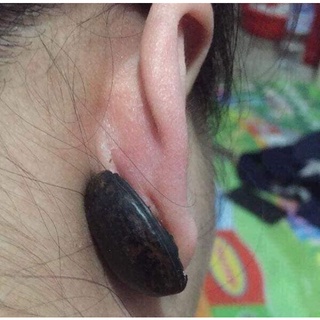 Hạt đậu lào,hạt to,tròn,chắc mẩy
