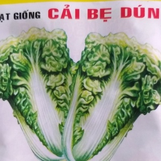 Hạt Giống Cải Bẹ Dún Thái Lan (10g)