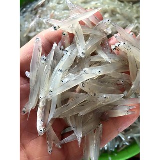 CÁ CƠM MỜM SỮA XUẤT NHẬT 500gr