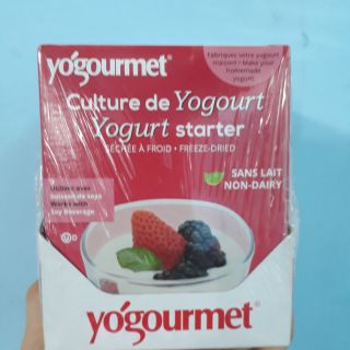 Men làm sữa chua vegan