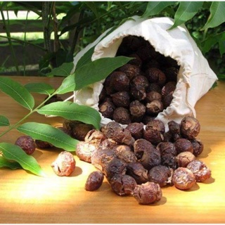 Bồ hòn tách hạt loại 1 (có sỉ)