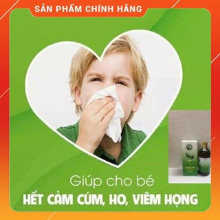 Tinh Dầu Tràm Trần Mao 100ml