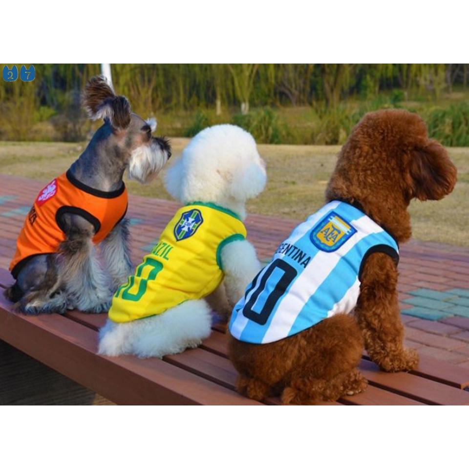 Áo Thun Thể Thao Mặc Mùa Hè 27 Thú Cưng Cho Thú Cưng chihuahua yorkshire